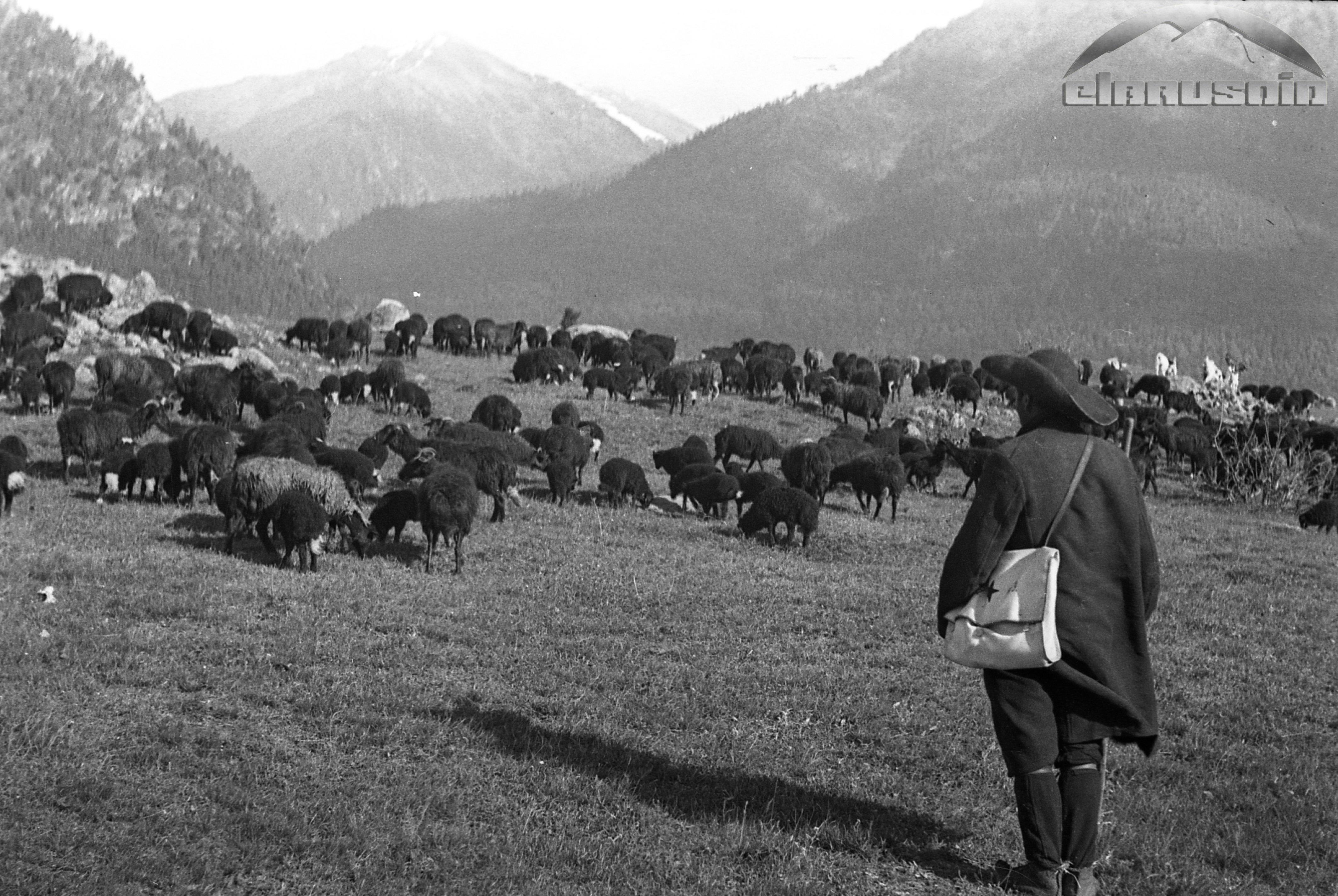 Фотоматериалы из РГАКФД