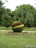 1227514312_ras1.jpg